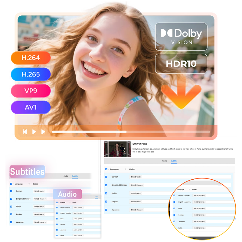 提供多種字幕輸出模式