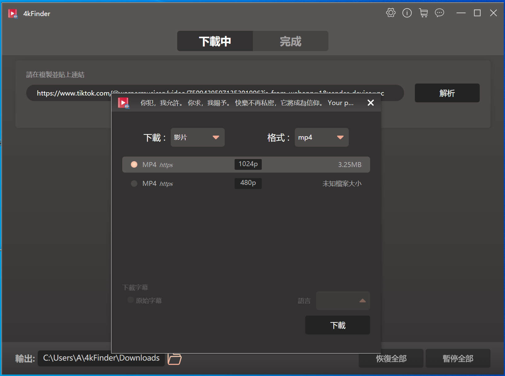 選擇輸出格式