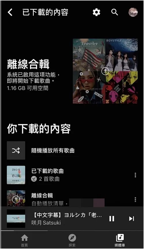 查看下載 YouTube 音樂