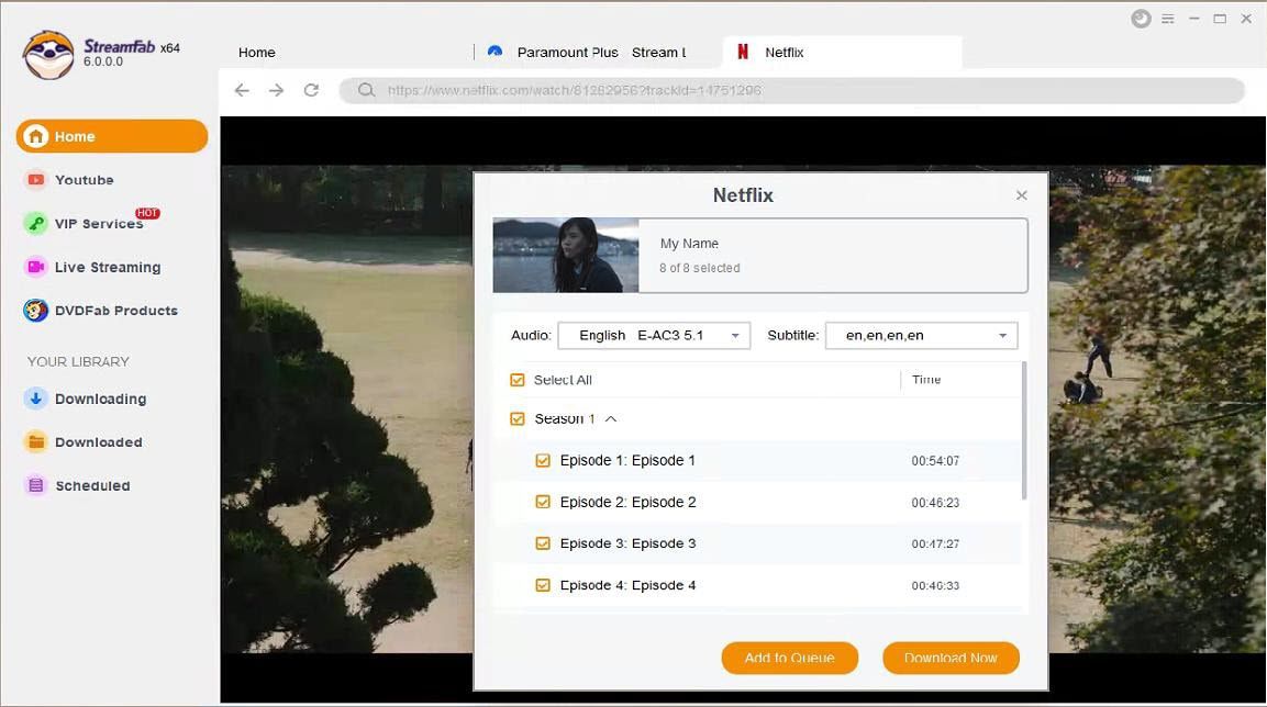 StreamFab Netflix 下載器
