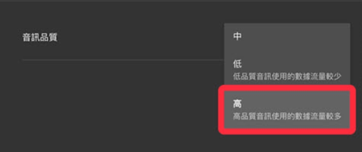  YouTube Music 的下載音質